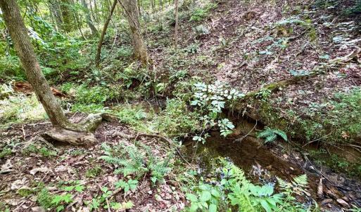 Photo #12 of Bent Creek A Road, Concord, VA 40.0 acres