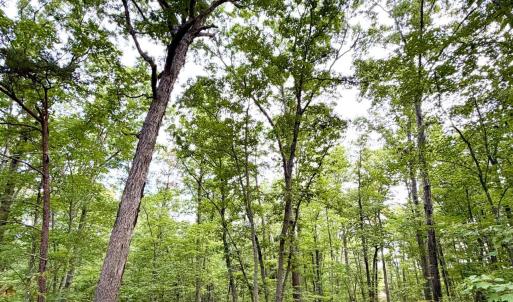Photo #4 of Bent Creek A Road, Concord, VA 40.0 acres