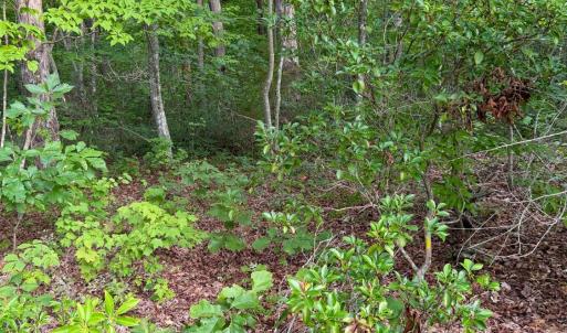 Photo #17 of Bent Creek A Road, Concord, VA 40.0 acres