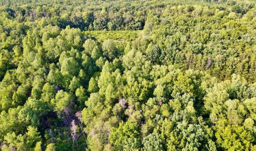 Photo #19 of Bent Creek A Road, Concord, VA 40.0 acres