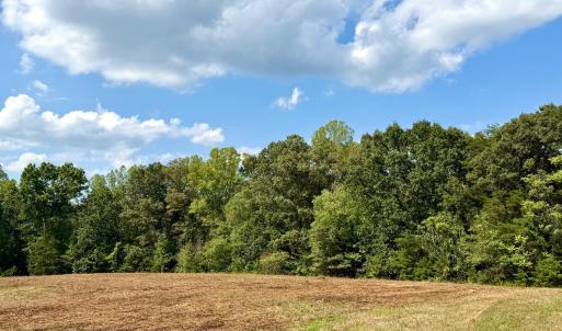 Photo #6 of Bent Creek A Road, Concord, VA 40.0 acres