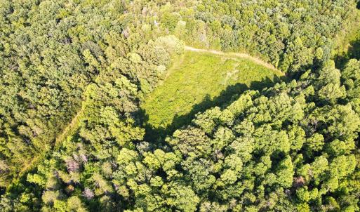 Photo #18 of Bent Creek A Road, Concord, VA 40.0 acres
