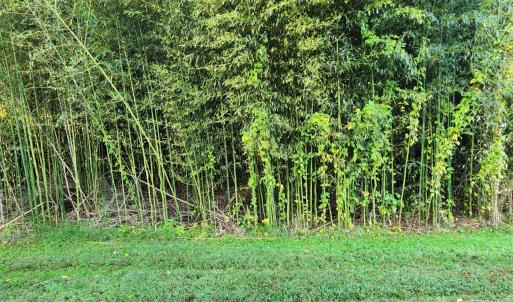 Photo #32 of 643 River Bottom Lane, Concord, VA 15.0 acres