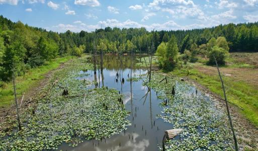 Photo #11 of 61 AC Acorn Rd, Nathalie, VA 62.1 acres