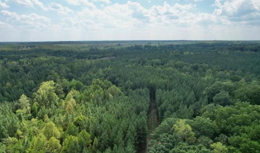 Photo #3 of 61 AC Acorn Rd, Nathalie, VA 62.1 acres
