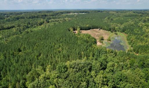Photo #16 of 61 AC Acorn Rd, Nathalie, VA 62.1 acres