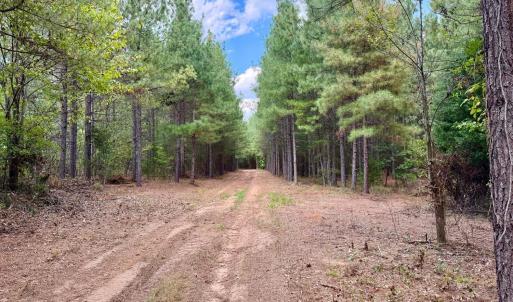 Photo #7 of 61 AC Acorn Rd, Nathalie, VA 62.1 acres