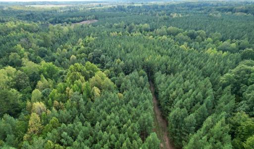 Photo #2 of 61 AC Acorn Rd, Nathalie, VA 62.1 acres