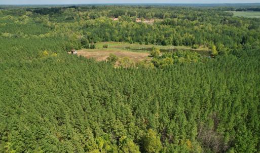 Photo #1 of 61 AC Acorn Rd, Nathalie, VA 62.1 acres