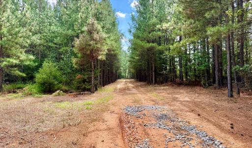 Photo #6 of 61 AC Acorn Rd, Nathalie, VA 62.1 acres