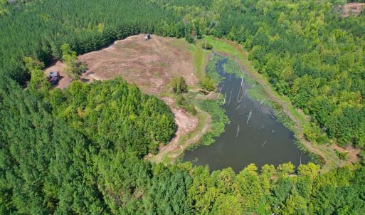 Photo #14 of 61 AC Acorn Rd, Nathalie, VA 62.1 acres