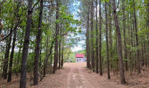 Photo #9 of 61 AC Acorn Rd, Nathalie, VA 62.1 acres