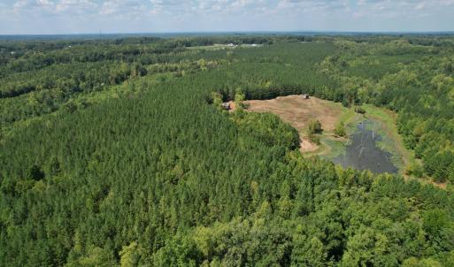 Photo #15 of 61 AC Acorn Rd, Nathalie, VA 62.1 acres