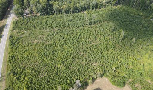 Photo #3 of 20225 L.P. Bailey Memorial Highway, Nathalie, VA 13.2 acres