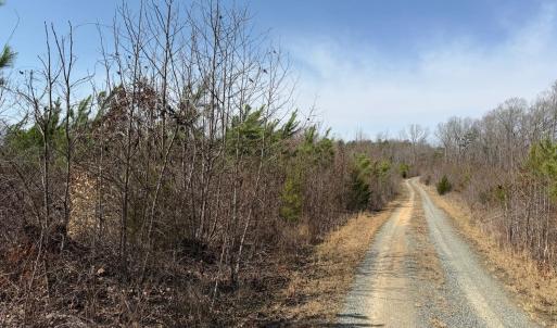 Photo #13 of 20225 L.P. Bailey Memorial Highway, Nathalie, VA 13.2 acres