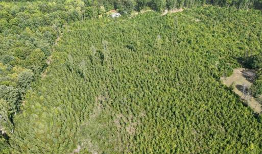 Photo #2 of 20225 L.P. Bailey Memorial Highway, Nathalie, VA 13.2 acres