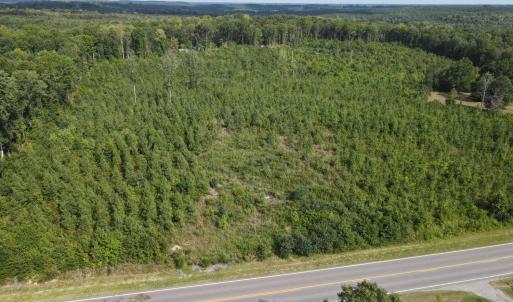 Photo #1 of 20225 L.P. Bailey Memorial Highway, Nathalie, VA 13.2 acres