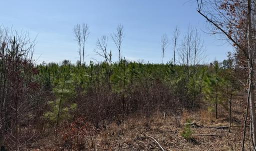 Photo #11 of 20225 L.P. Bailey Memorial Highway, Nathalie, VA 13.2 acres