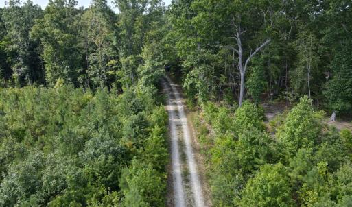 Photo #6 of 20225 L.P. Bailey Memorial Highway, Nathalie, VA 13.2 acres