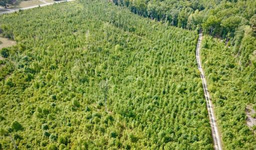 Photo #5 of 20225 L.P. Bailey Memorial Highway, Nathalie, VA 13.2 acres