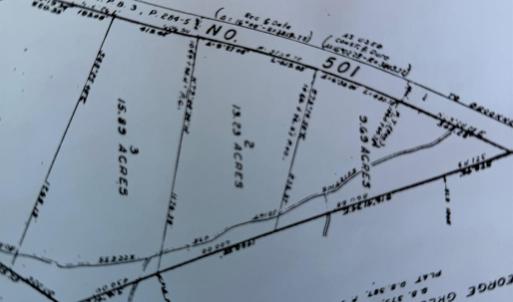 Photo #7 of 20225 L.P. Bailey Memorial Highway, Nathalie, VA 13.2 acres