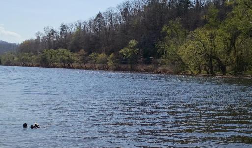 Photo #12 of Wilderness Creek Road, Monroe, VA 110.0 acres
