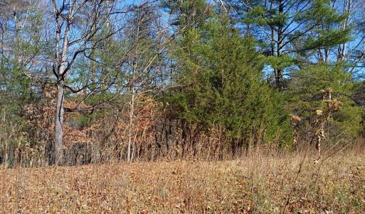 Photo #6 of Wilderness Creek Road, Monroe, VA 110.0 acres