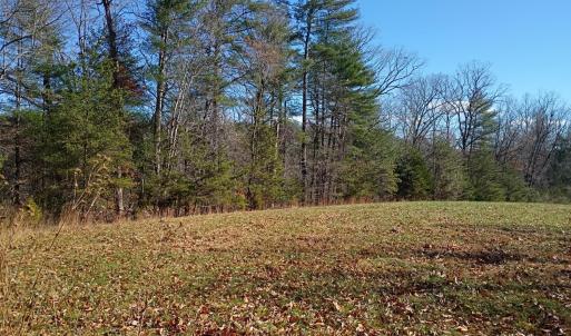 Photo #7 of Wilderness Creek Road, Monroe, VA 110.0 acres