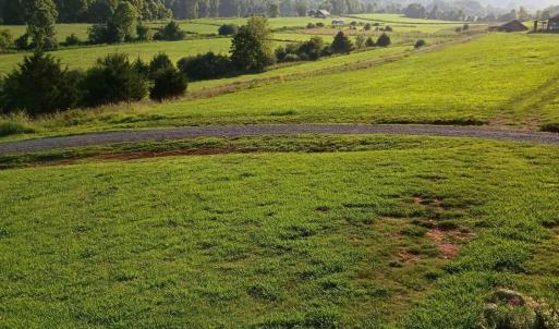 Photo #16 of Wilderness Creek Road, Monroe, VA 110.0 acres