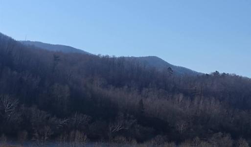 Photo #11 of Wilderness Creek Road, Monroe, VA 110.0 acres