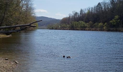 Photo #5 of Wilderness Creek Road, Monroe, VA 110.0 acres
