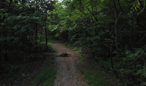 Photo #5 of Beckham Road, Concord, VA 5.0 acres