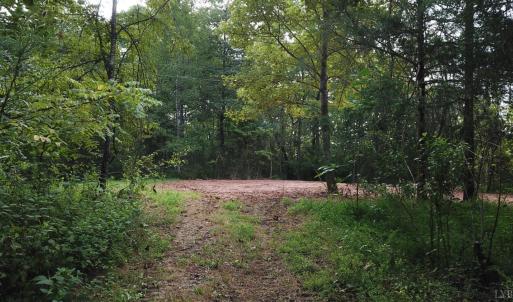 Photo #6 of Beckham Road, Concord, VA 5.0 acres