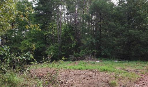 Photo #8 of Beckham Road, Concord, VA 5.0 acres