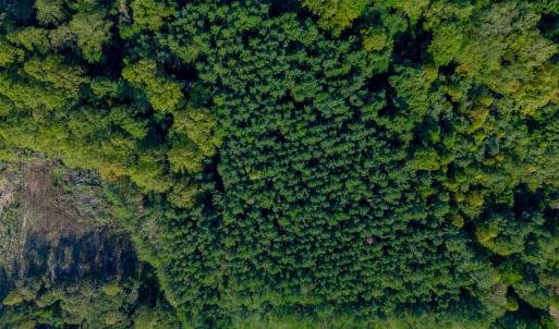 Photo #13 of Greenhouse Road, Rustburg, VA 13.7 acres