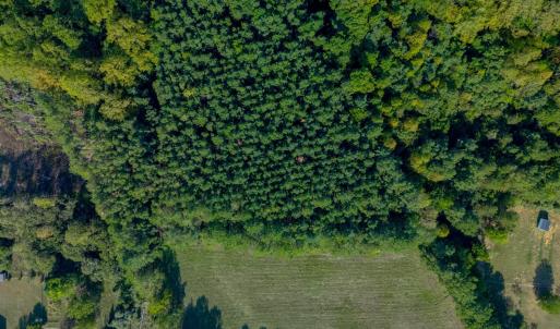 Photo #12 of Greenhouse Road, Rustburg, VA 13.7 acres