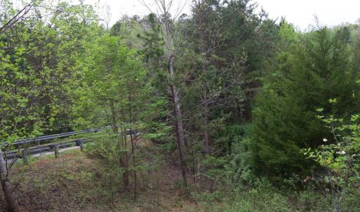 Photo #20 of 361 Clear Pointe Run, Lynch Station, VA 3.7 acres