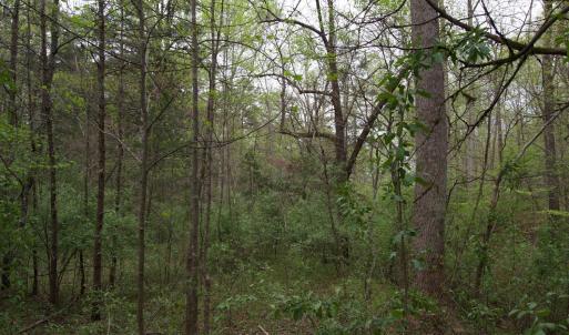 Photo #17 of 361 Clear Pointe Run, Lynch Station, VA 3.7 acres