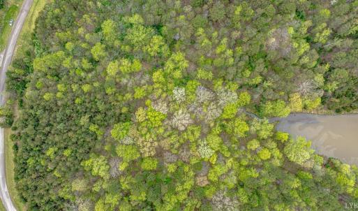 Photo #8 of 361 Clear Pointe Run, Lynch Station, VA 3.7 acres
