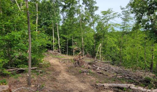 Photo #6 of Totero Ct & Rosseechee Ct, Clarksville, VA 3.3 acres