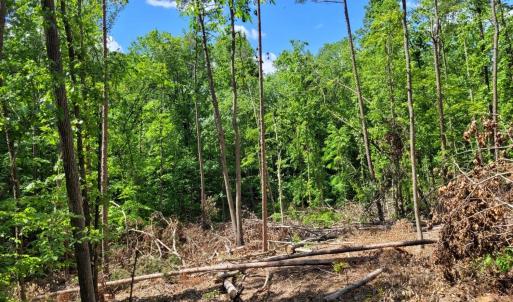 Photo #1 of Totero Ct & Rosseechee Ct, Clarksville, VA 3.3 acres