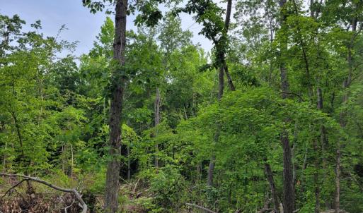 Photo #8 of Totero Ct & Rosseechee Ct, Clarksville, VA 3.3 acres