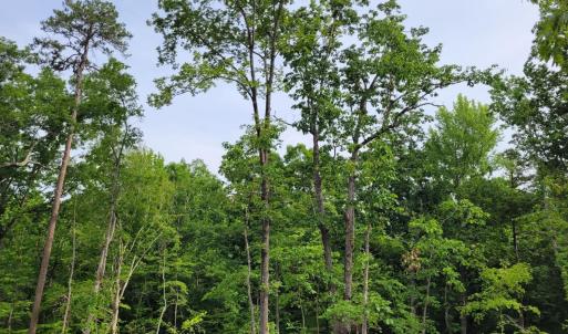 Photo #7 of Totero Ct & Rosseechee Ct, Clarksville, VA 3.3 acres