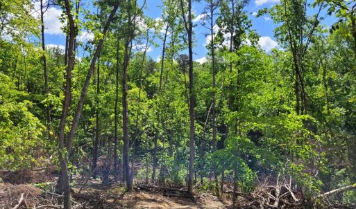 Photo #3 of Totero Ct & Rosseechee Ct, Clarksville, VA 3.3 acres
