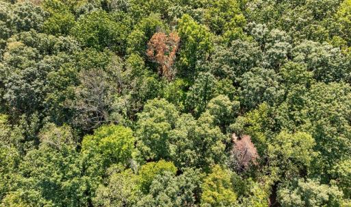 Photo #20 of Lot 8 Mud Street, Concord, VA 5.0 acres