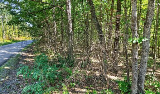 Photo #26 of Lot 8 Mud Street, Concord, VA 5.0 acres