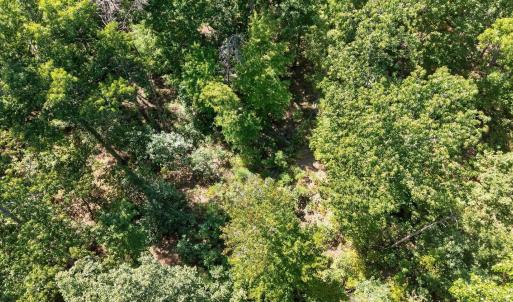 Photo #18 of Lot 8 Mud Street, Concord, VA 5.0 acres