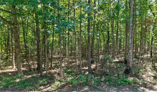 Photo #24 of Lot 8 Mud Street, Concord, VA 5.0 acres