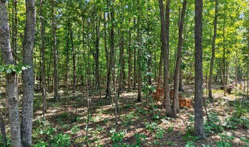 Photo #25 of Lot 8 Mud Street, Concord, VA 5.0 acres