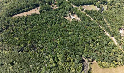Photo #4 of Lot 8 Mud Street, Concord, VA 5.0 acres